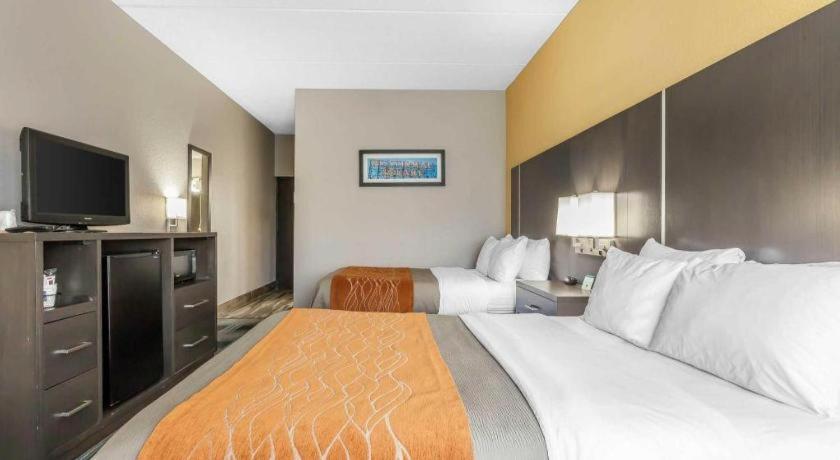 Comfort Inn Cleveland Airport Middleburg Heights Exterior foto