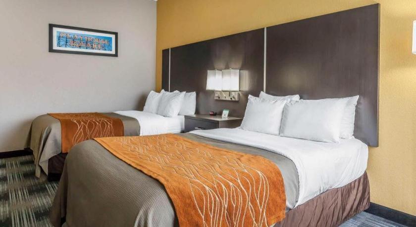 Comfort Inn Cleveland Airport Middleburg Heights Exterior foto