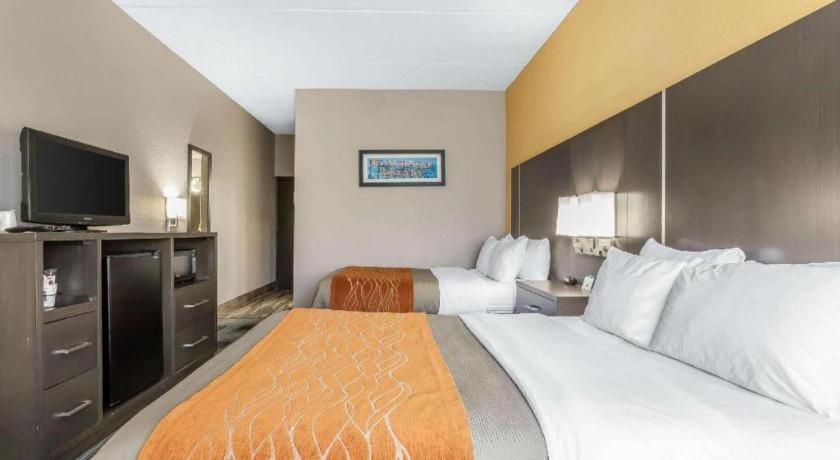 Comfort Inn Cleveland Airport Middleburg Heights Exterior foto