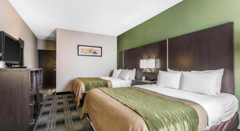 Comfort Inn Cleveland Airport Middleburg Heights Exterior foto
