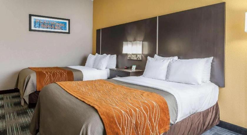 Comfort Inn Cleveland Airport Middleburg Heights Exterior foto