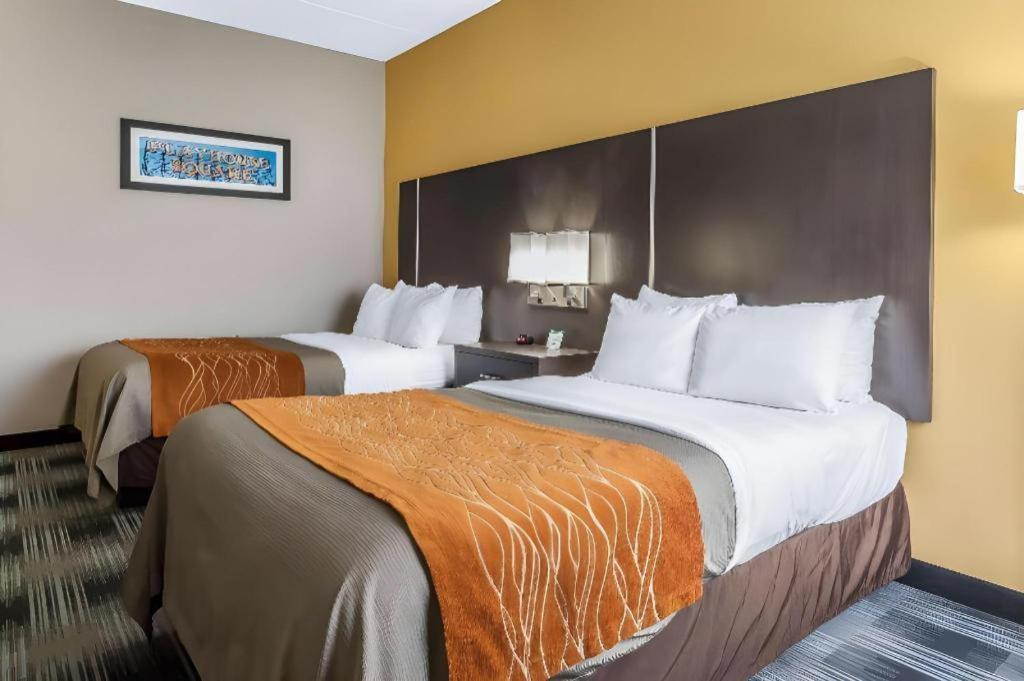 Comfort Inn Cleveland Airport Middleburg Heights Exterior foto